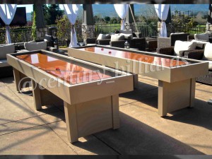 Shuffleboard    