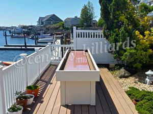 Shuffleboard    
