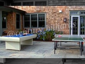 Ping Pong Custom 9    